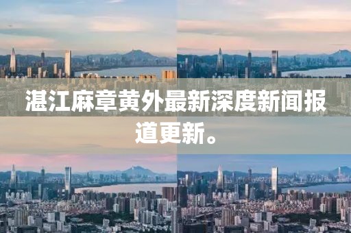 湛江麻章黄外最新深度新闻报道更新。