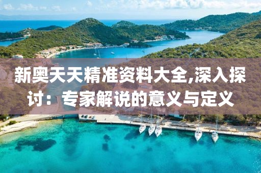 新奥天天精准资料大全,深入探讨：专家解说的意义与定义