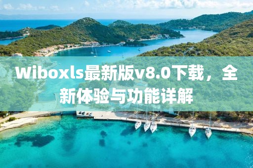 Wiboxls最新版v8.0下载，全新体验与功能详解