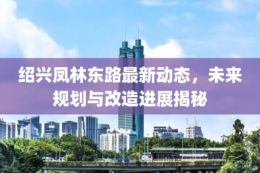 绍兴凤林东路最新动态，未来规划与改造进展揭秘