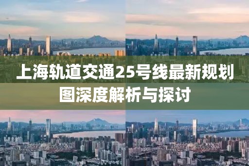 上海轨道交通25号线最新规划图深度解析与探讨