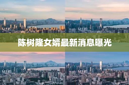 陈树隆女婿最新消息曝光