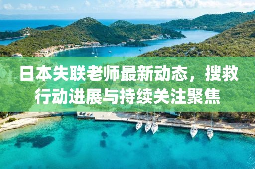 日本失联老师最新动态，搜救行动进展与持续关注聚焦
