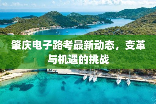 肇庆电子路考最新动态，变革与机遇的挑战