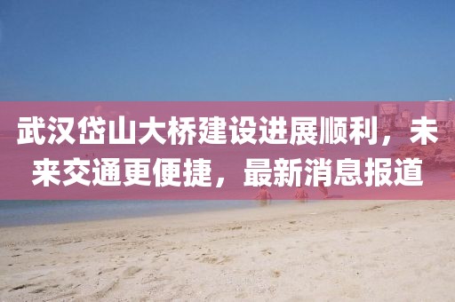 武汉岱山大桥建设进展顺利，未来交通更便捷，最新消息报道