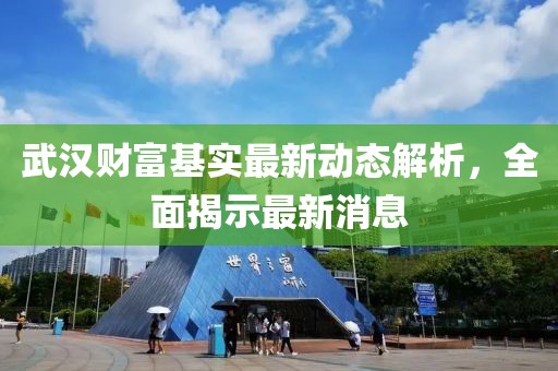 武汉财富基实最新动态解析，全面揭示最新消息