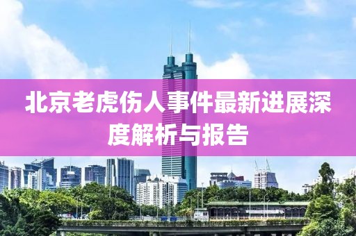 北京老虎伤人事件最新进展深度解析与报告
