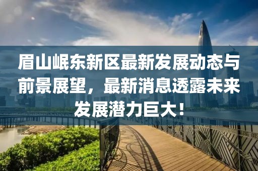 眉山岷东新区最新发展动态与前景展望，最新消息透露未来发展潜力巨大！