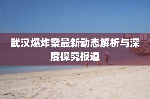 武汉爆炸案最新动态解析与深度探究报道