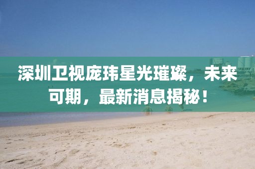 深圳卫视庞玮星光璀璨，未来可期，最新消息揭秘！