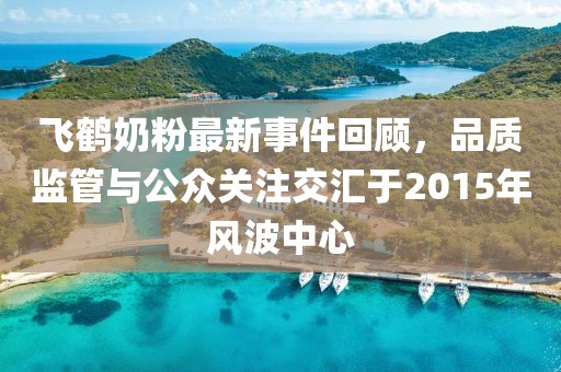 飞鹤奶粉最新事件回顾，品质监管与公众关注交汇于2015年风波中心