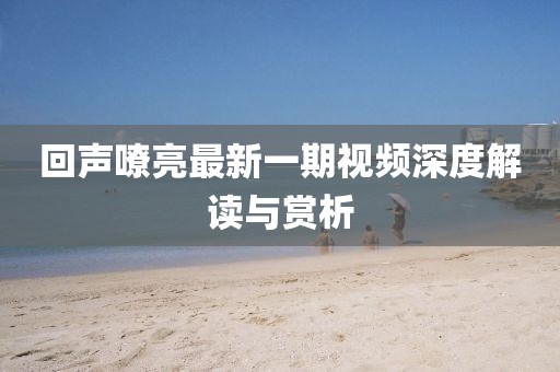 回声嘹亮最新一期视频深度解读与赏析