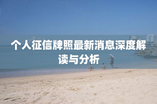 个人征信牌照最新消息深度解读与分析