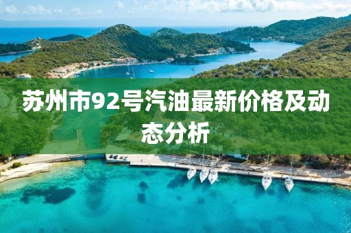 苏州市92号汽油最新价格及动态分析