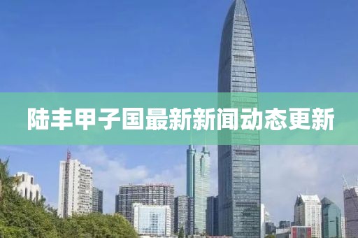 陆丰甲子国最新新闻动态更新