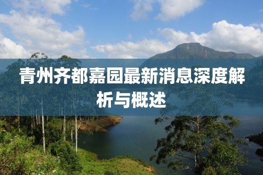 青州齐都嘉园最新消息深度解析与概述