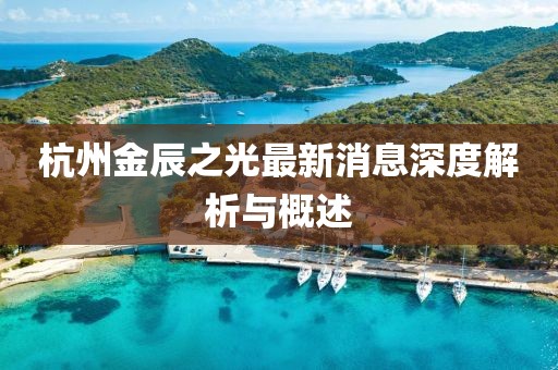 杭州金辰之光最新消息深度解析与概述