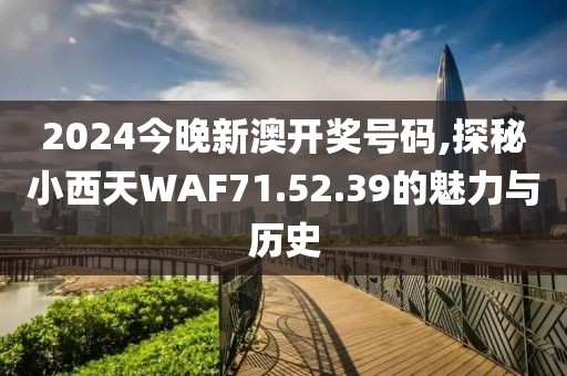 2024今晚新澳开奖号码,探秘小西天WAF71.52.39的魅力与历史