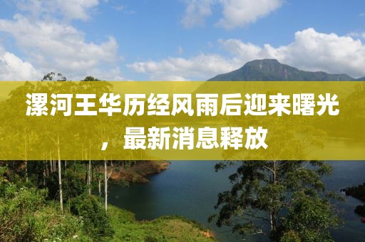 漯河王华历经风雨后迎来曙光，最新消息释放