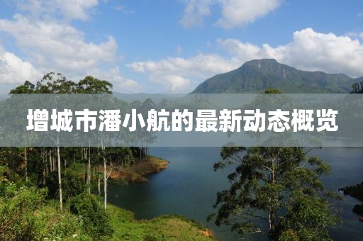 增城市潘小航的最新动态概览