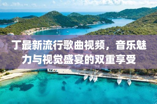 丁最新流行歌曲视频，音乐魅力与视觉盛宴的双重享受