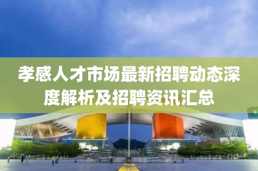 孝感人才市场最新招聘动态深度解析及招聘资讯汇总