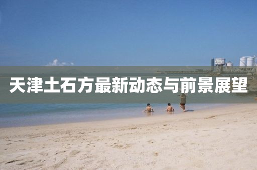 天津土石方最新动态与前景展望