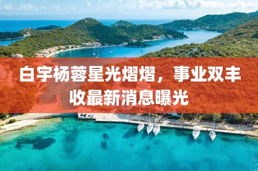 白宇杨蓉星光熠熠，事业双丰收最新消息曝光