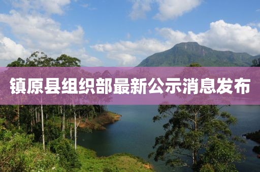 镇原县组织部最新公示消息发布
