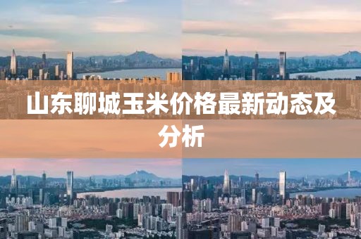 山东聊城玉米价格最新动态及分析