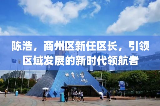 陈浩，商州区新任区长，引领区域发展的新时代领航者