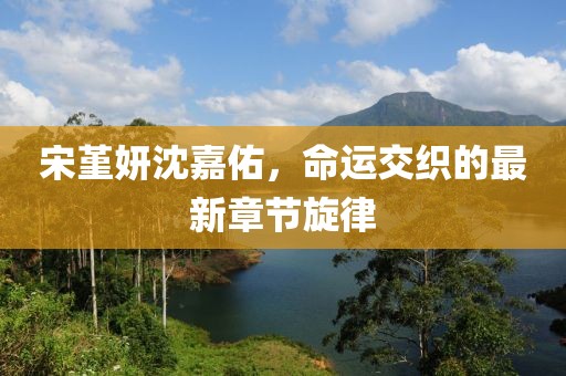 宋堇妍沈嘉佑，命运交织的最新章节旋律