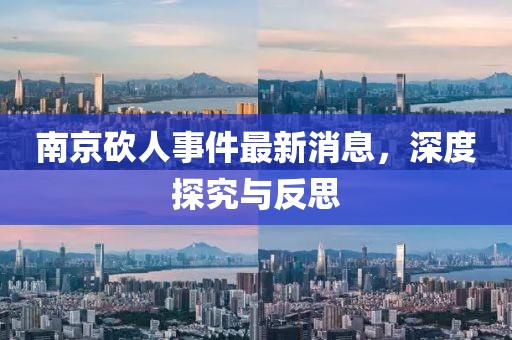 南京砍人事件最新消息，深度探究与反思