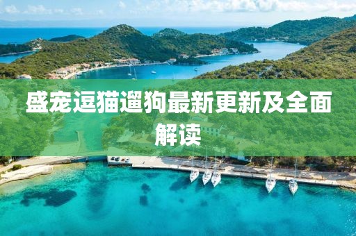 盛宠逗猫遛狗最新更新及全面解读