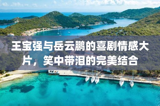王宝强与岳云鹏的喜剧情感大片，笑中带泪的完美结合