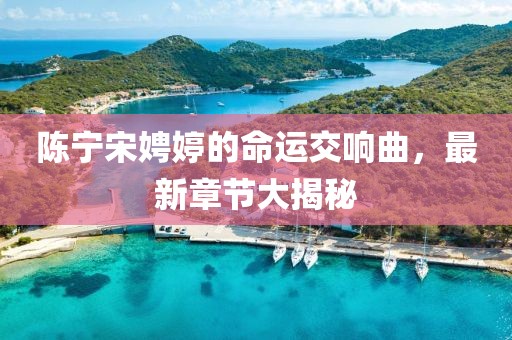 陈宁宋娉婷的命运交响曲，最新章节大揭秘