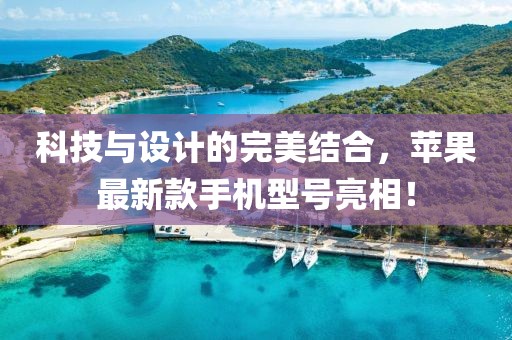 科技与设计的完美结合，苹果最新款手机型号亮相！