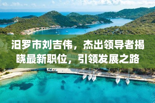 汨罗市刘吉伟，杰出领导者揭晓最新职位，引领发展之路