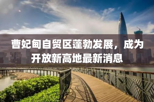 曹妃甸自贸区蓬勃发展，成为开放新高地最新消息