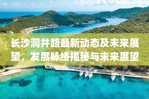 长沙洞井路最新动态及未来展望，发展脉络揭秘与未来展望