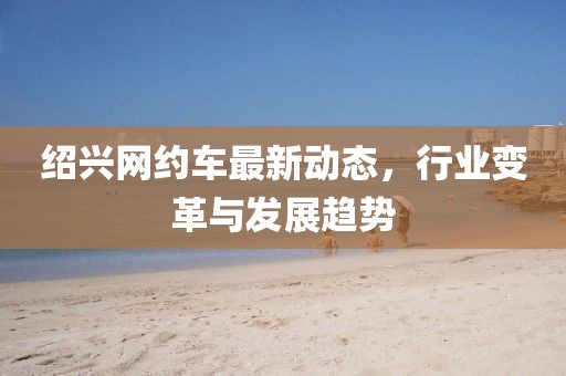 绍兴网约车最新动态，行业变革与发展趋势
