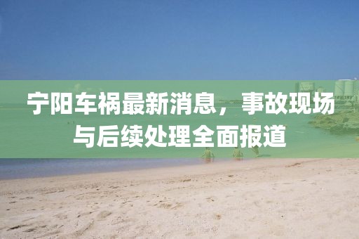 宁阳车祸最新消息，事故现场与后续处理全面报道