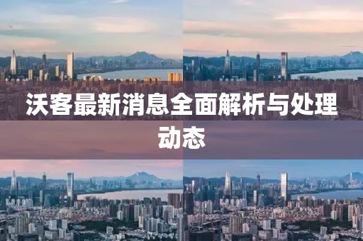沃客最新消息全面解析与处理动态