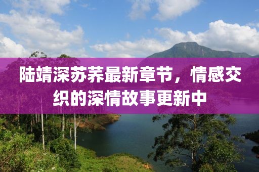 陆靖深苏荞最新章节，情感交织的深情故事更新中