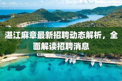 湛江麻章最新招聘动态解析，全面解读招聘消息