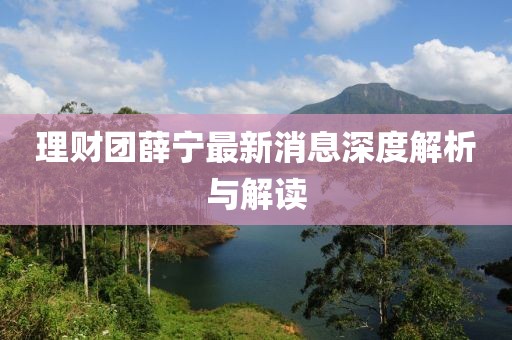 理财团薛宁最新消息深度解析与解读