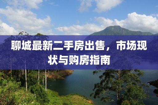 聊城最新二手房出售，市场现状与购房指南