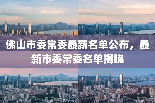 佛山市委常委最新名单公布，最新市委常委名单揭晓