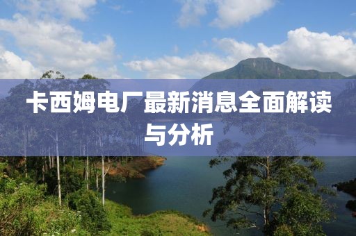 卡西姆电厂最新消息全面解读与分析