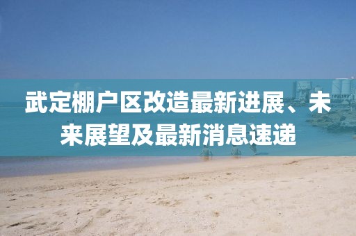 武定棚户区改造最新进展、未来展望及最新消息速递